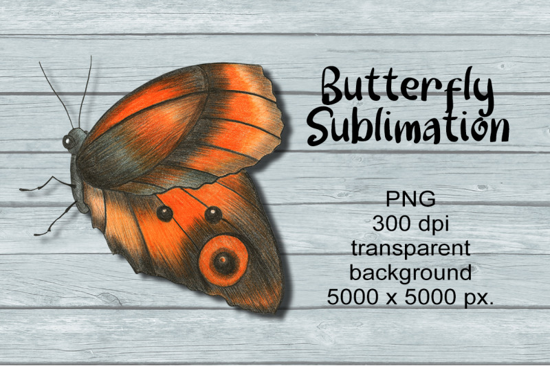 butterfly-sublimation-png-design