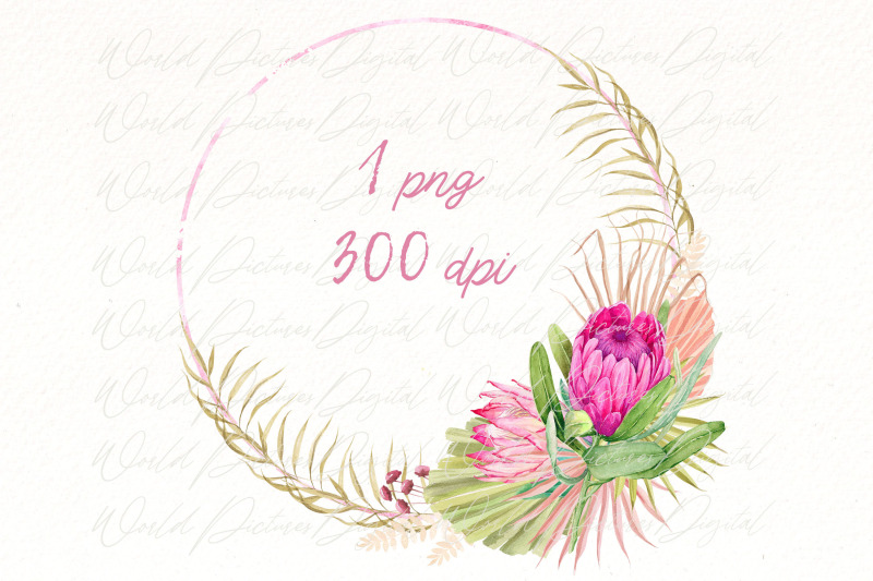 watercolor-protea-wreath-clipart-bundle-pink-tropical-png