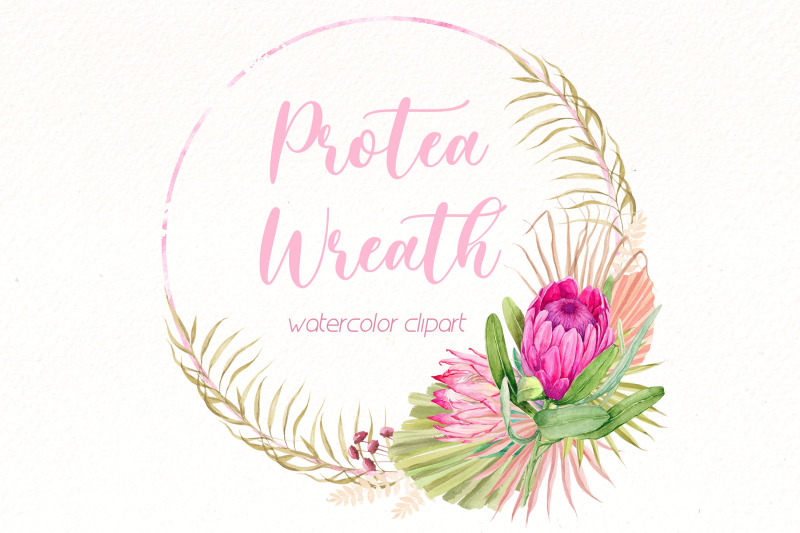watercolor-protea-wreath-clipart-bundle-pink-tropical-png