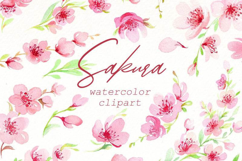 sakura-blossom-watercolor-clipar-bundle-spring-flowers-png