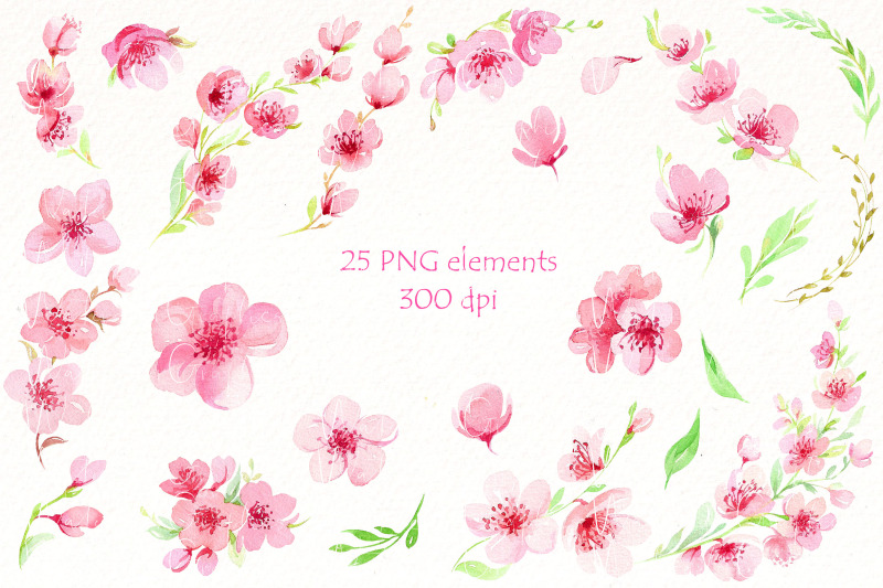 sakura-blossom-watercolor-clipar-bundle-spring-flowers-png