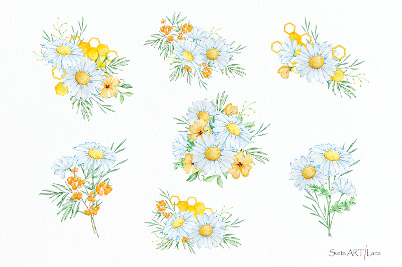 watercolor-daisy-bouquets-clipart