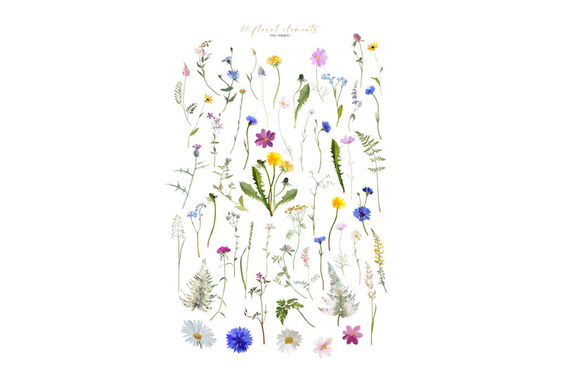 blooming-meadow-hand-painted-wildflowers
