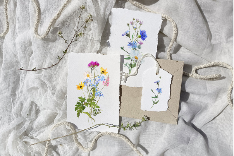 blooming-meadow-hand-painted-wildflowers