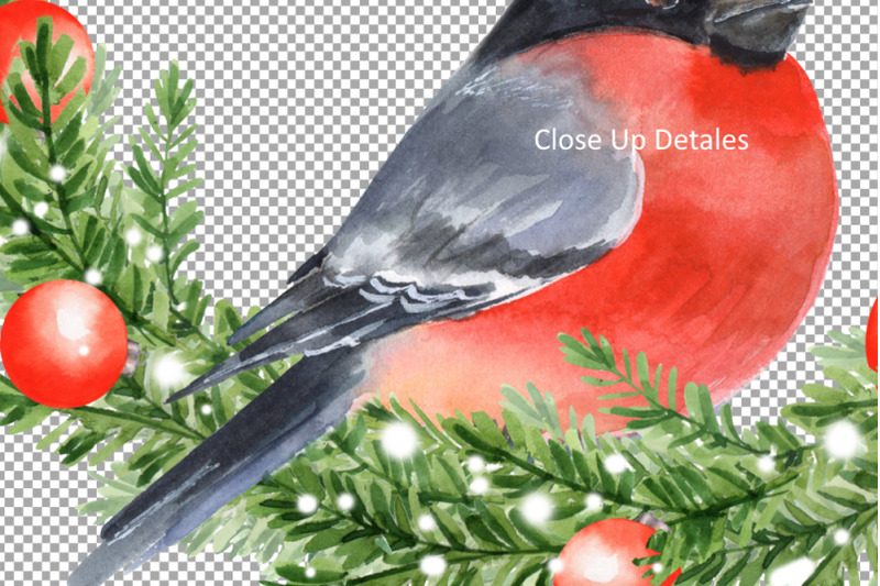 christmas-wreath-with-bullfinch-watercolor