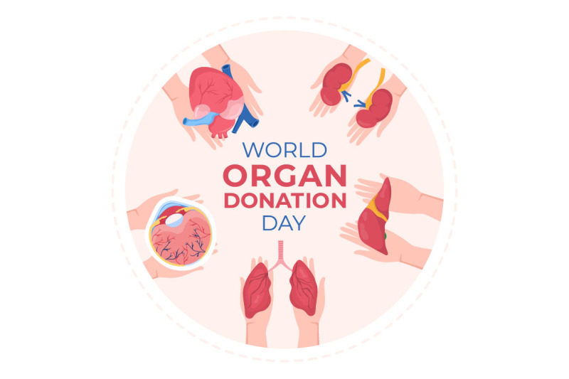 15-world-organ-donation-day-illustration