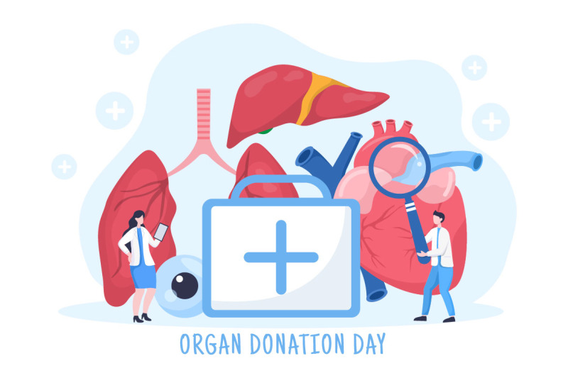 15-world-organ-donation-day-illustration