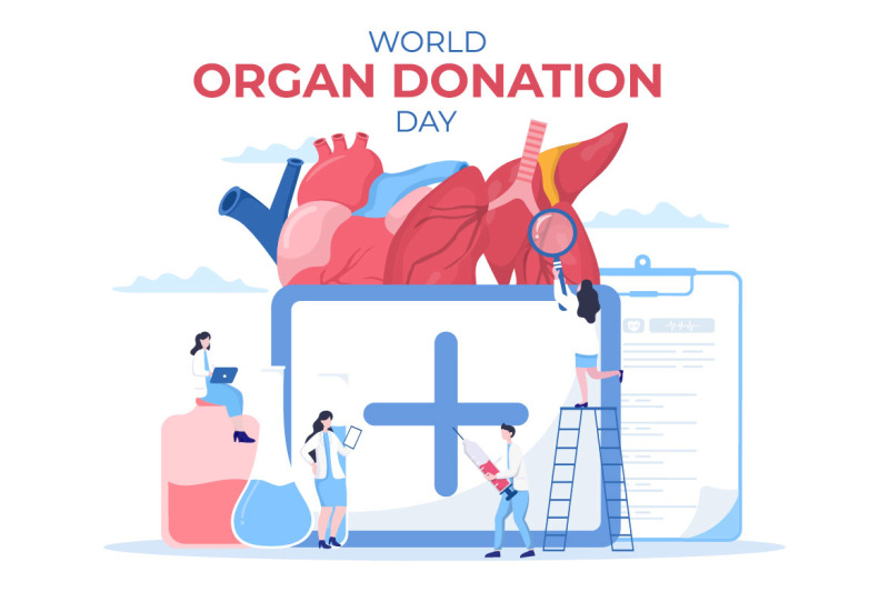 15-world-organ-donation-day-illustration