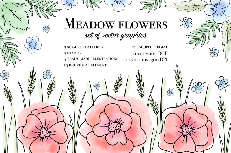 meadow-flowers-set-of-vector-graphics-ai-eps10-jpeg