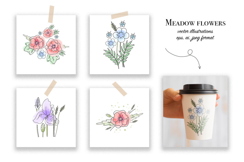 meadow-flowers-set-of-vector-graphics-ai-eps10-jpeg