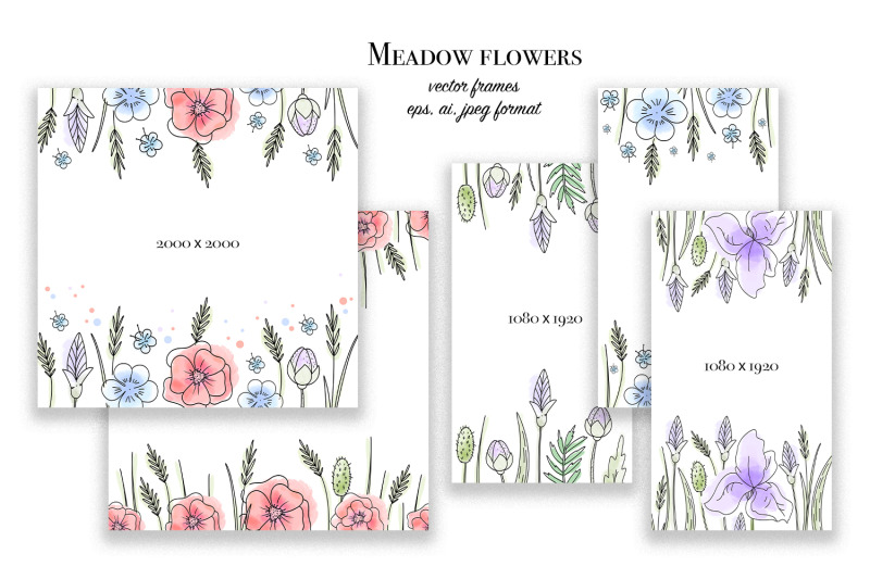 meadow-flowers-set-of-vector-graphics-ai-eps10-jpeg