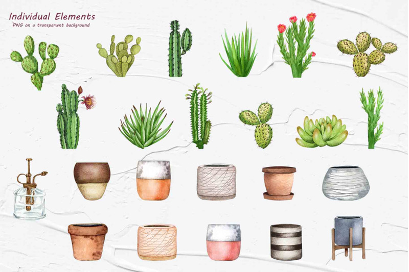 cactus-watercolor-clipart-succulent