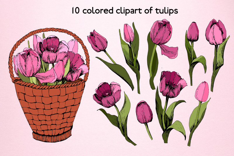 tulip-clipart-png-eps-svg-ai-jpg