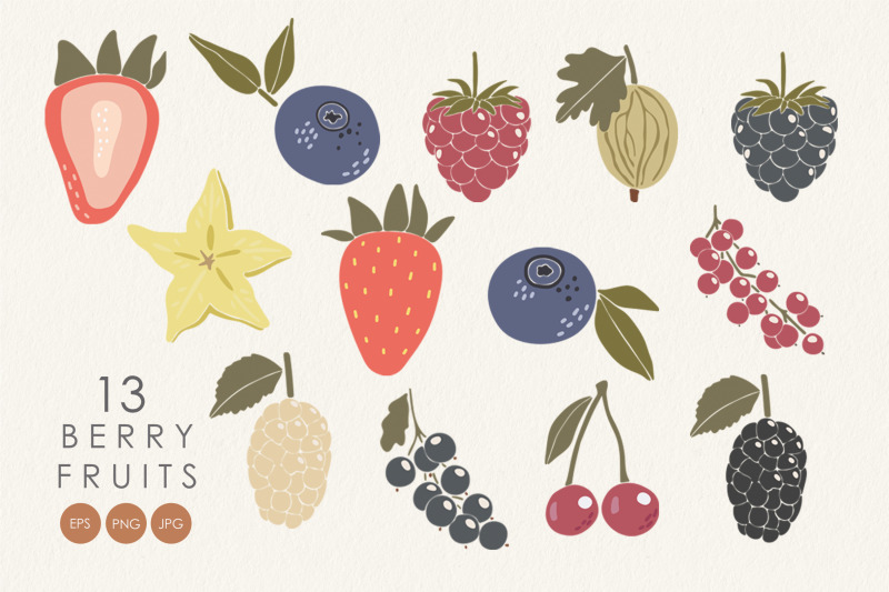 boho-berry-clipart-tropical-fruits-collection-digital-summer-clipart