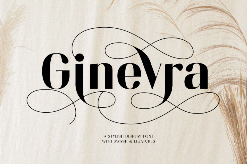 ginevra-stylish-display-font