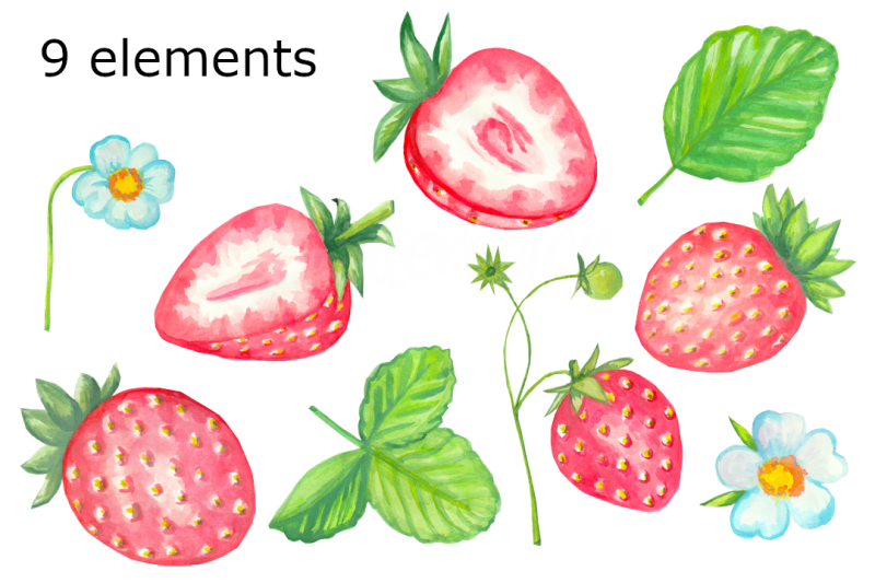 strawberry-watercolor-clipart