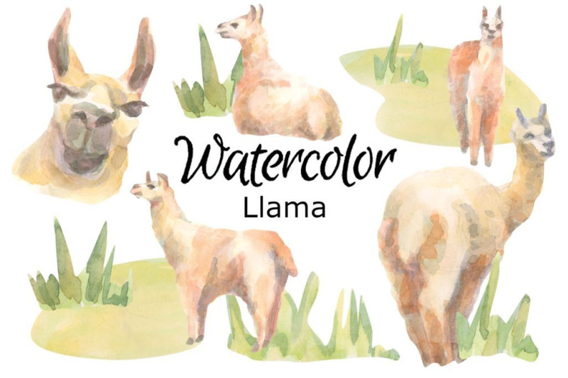 deer-watercolor-clipart