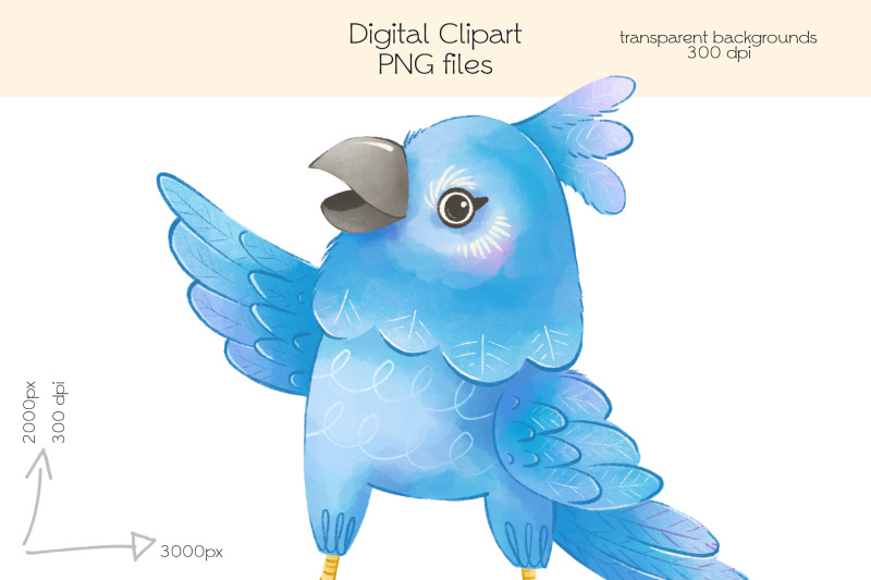 parrot-clipart-png-files