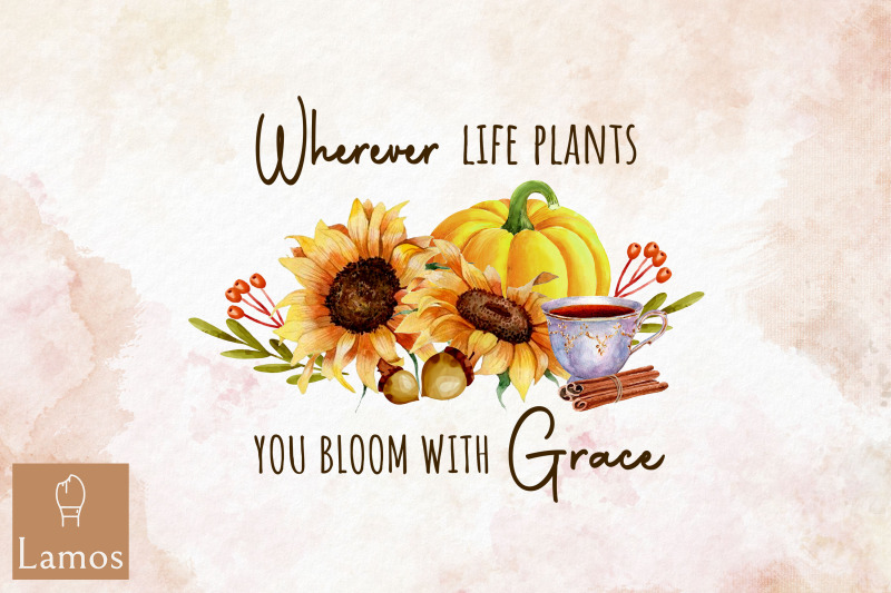 fall-flower-life-plants-you-bloom-grace