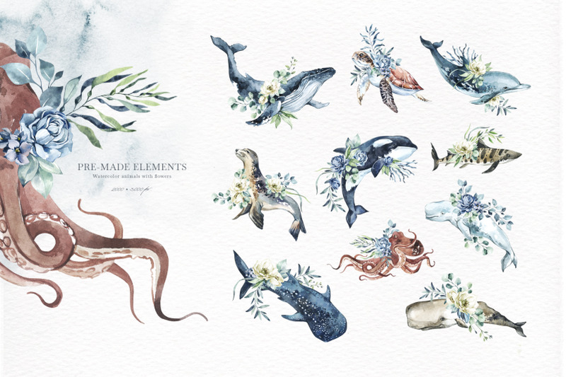 oceania-watercolor-animal-set