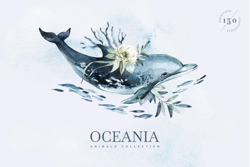 quot-oceania-quot-watercolor-animal-set