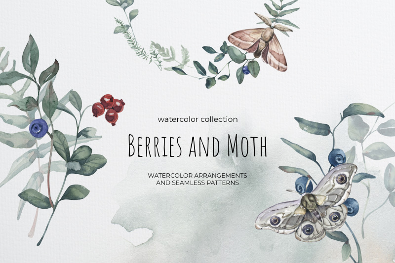 berries-and-moth-watercolor-collection