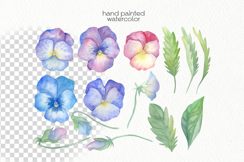 watercolor-pansy-clipart-png-files