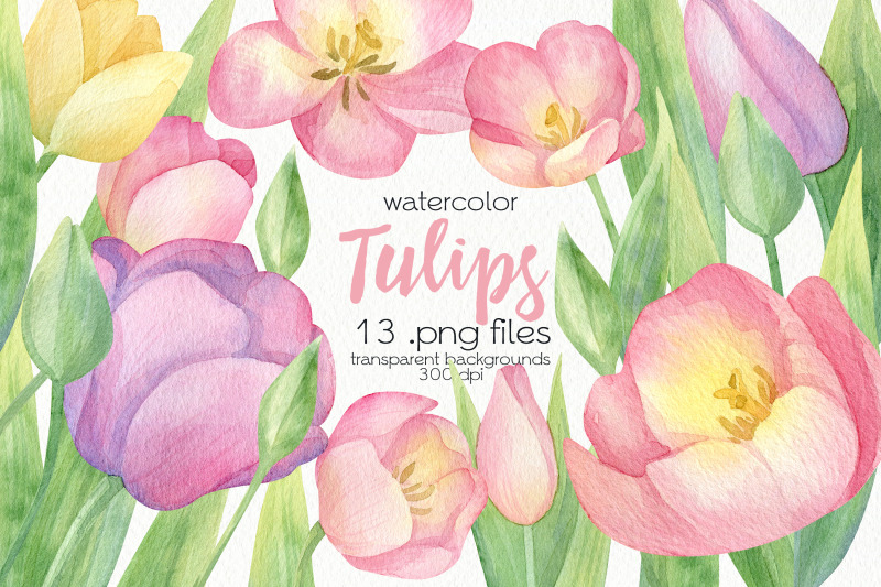 watercolor-tulip-clipart-png-files