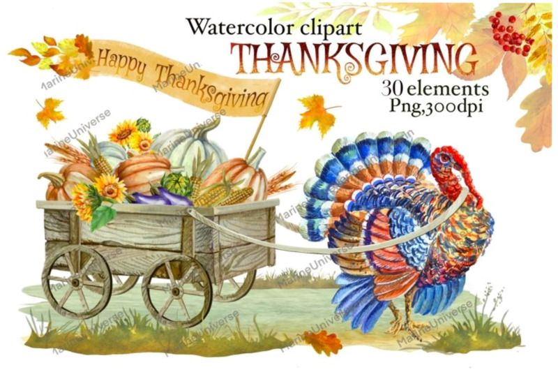 thanksgiving-turkey-vegetable-cart-watercolor-png