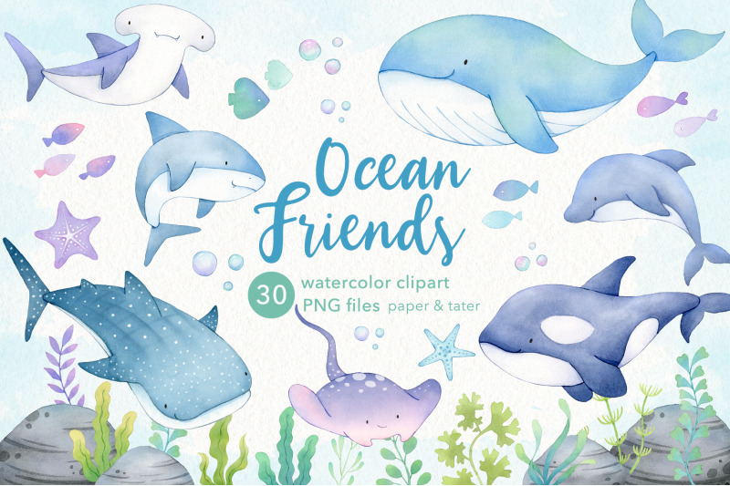 whales-and-sharks-watercolor-clipart-cute-ocean-animals-png