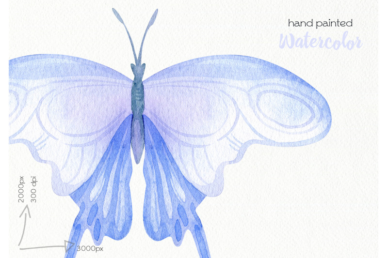 watercolor-butterfly-clipart-png-files