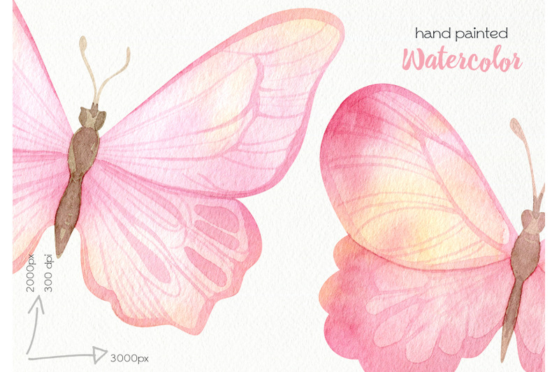 watercolor-butterfly-clipart-png-files