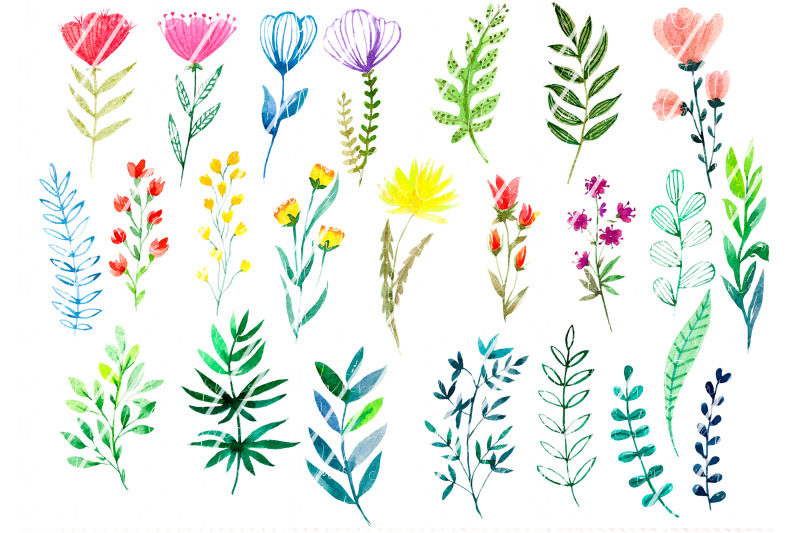 watercolor-wildflower-clipart-hand-painted-summer-flowers