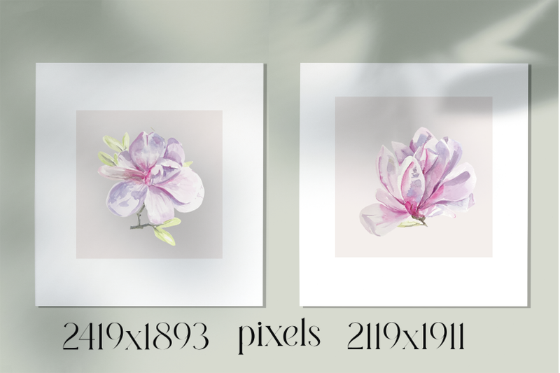 watercolor-magnolia-set