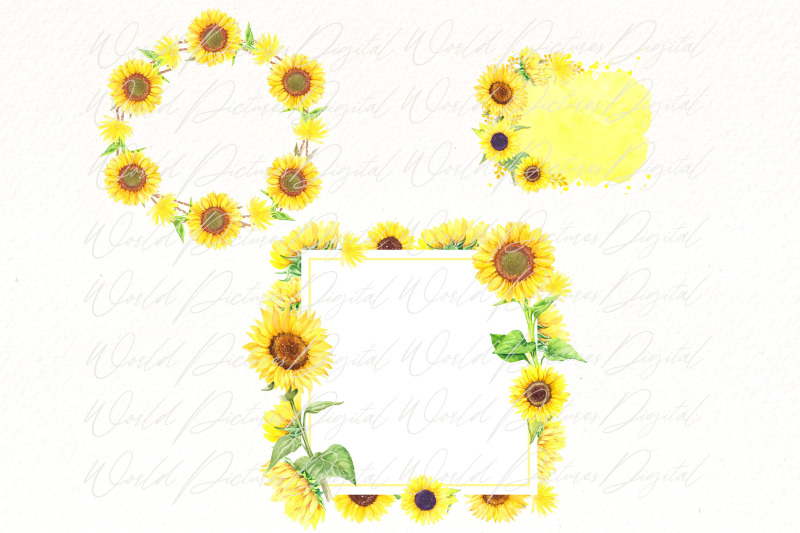 watercolor-sunflower-frame-clipart-summer-floral-png
