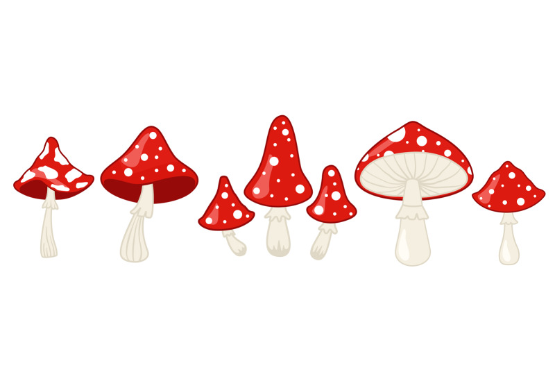 amanita-mushroom-fly-agaric-white-spotted-red-mushrooms-and-forest-t