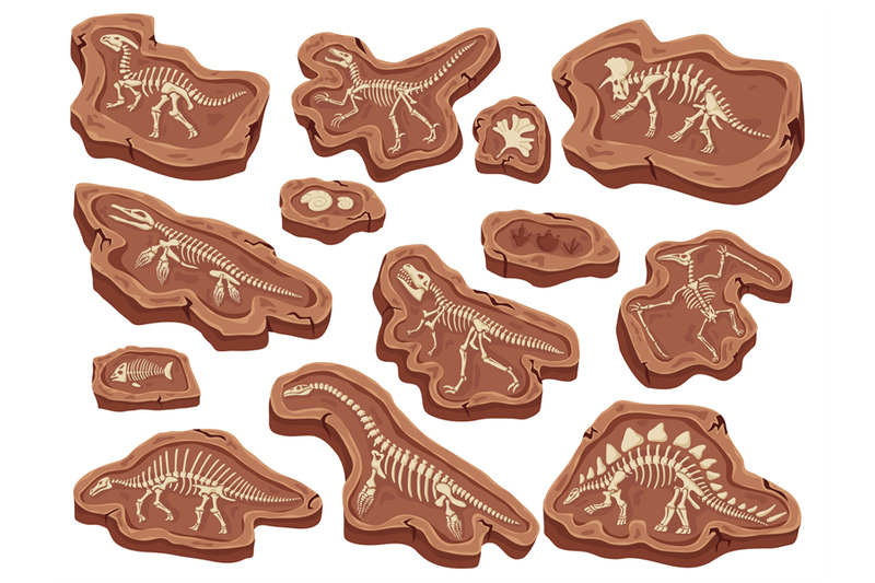 cartoon-fossils-dinosaurs-fossilization-ancient-fish-bones-and-ammon