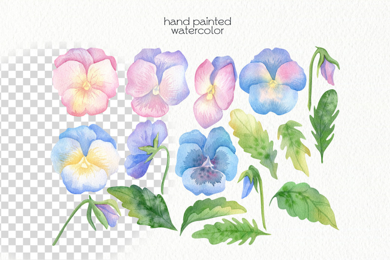 watercolor-pansy-clipart-png-files