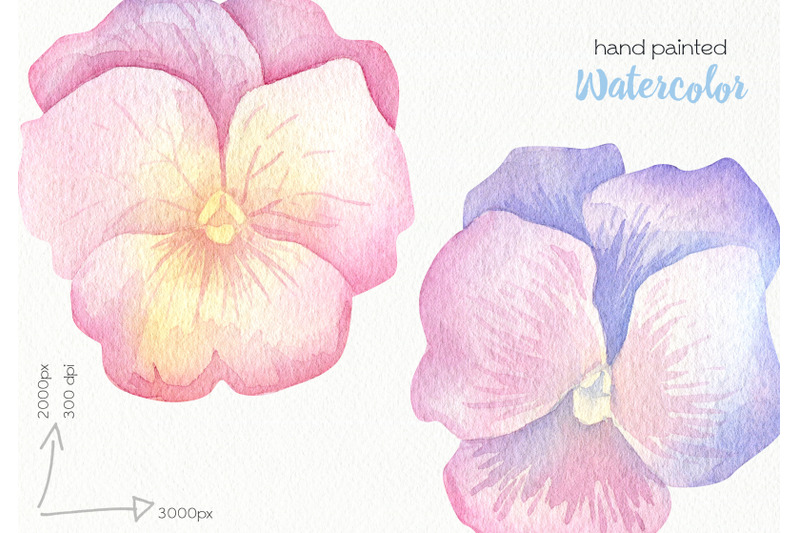 watercolor-pansy-clipart-png-files