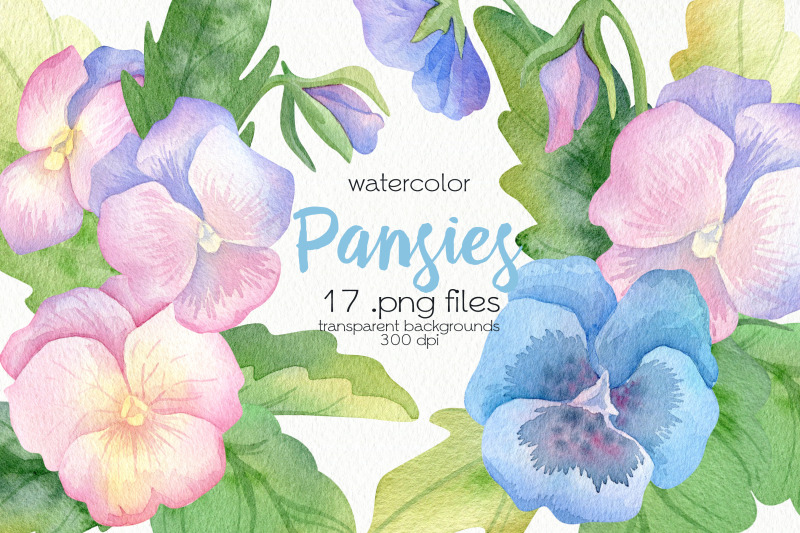 watercolor-pansy-clipart-png-files