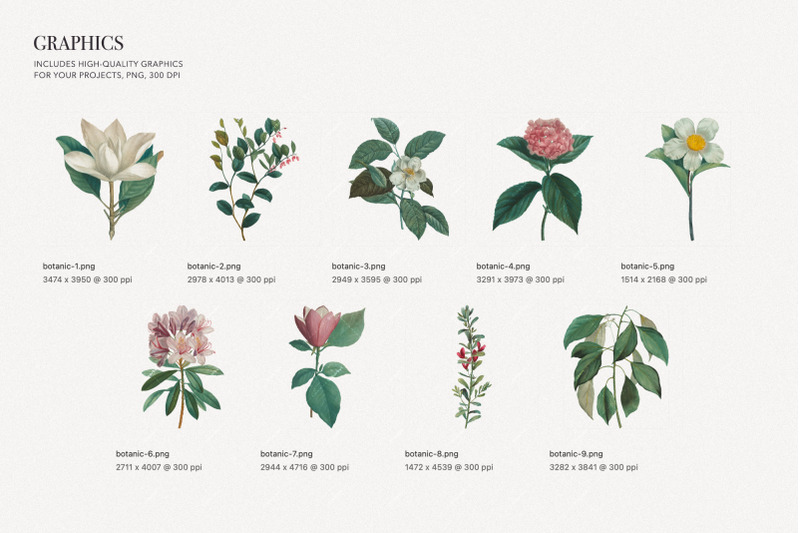 botanical-elegant-english-floral-pattern-psd-fully-editable
