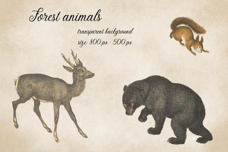 vintage-forest-animals