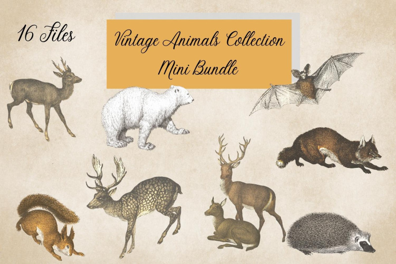 vintage-forest-animals