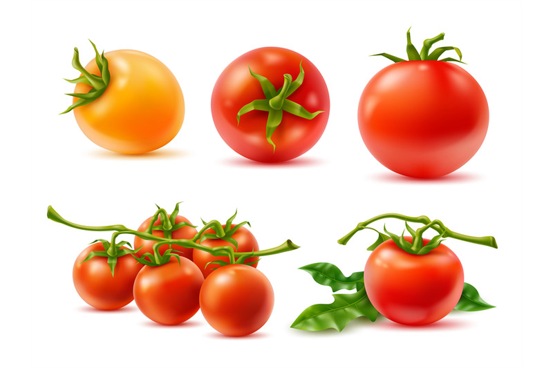 realistic-tomatoes-3d-vegetables-whole-fruits-on-twigs-green-leaves