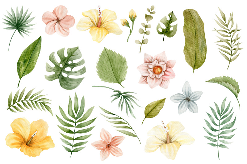 watercolor-tropical-leaves-and-flowers