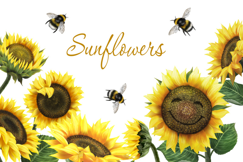 sunflowers-with-bumblebees-digital-clipart-summer-flower-clipart