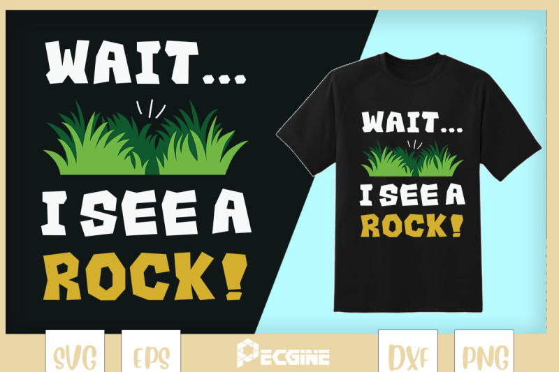 wait-i-see-a-rock-collecting