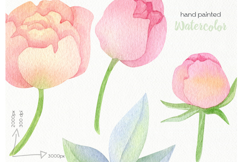 watercolor-spring-flowers-clipart-png-files