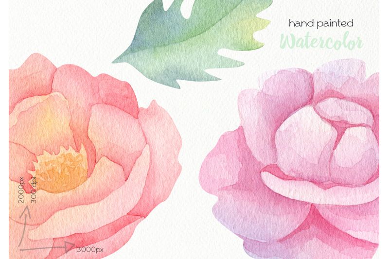 watercolor-spring-flowers-clipart-png-files