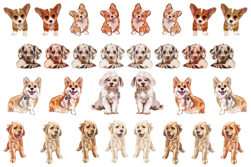 dog-clipart-set-dogs-clipart-png-maltese-grooming-corgi-dachshun